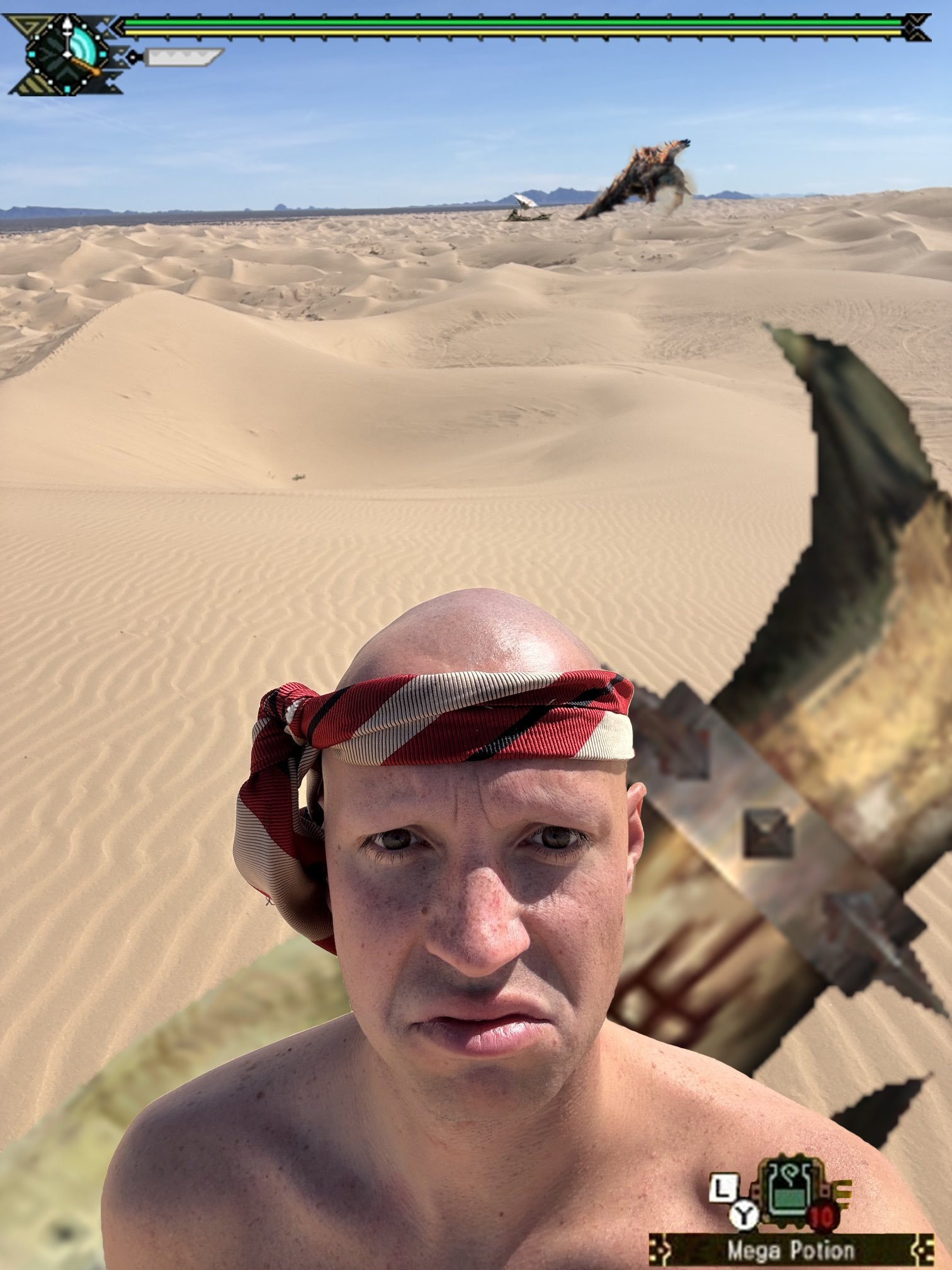 A Monster Hunter version of the Dan Hentschel in the Desert meme.