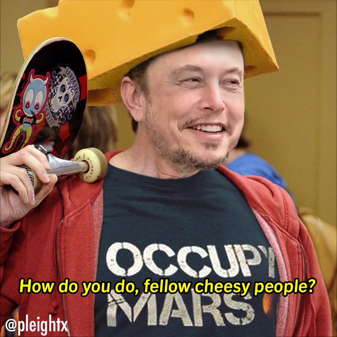  I am a loser (elon musk)