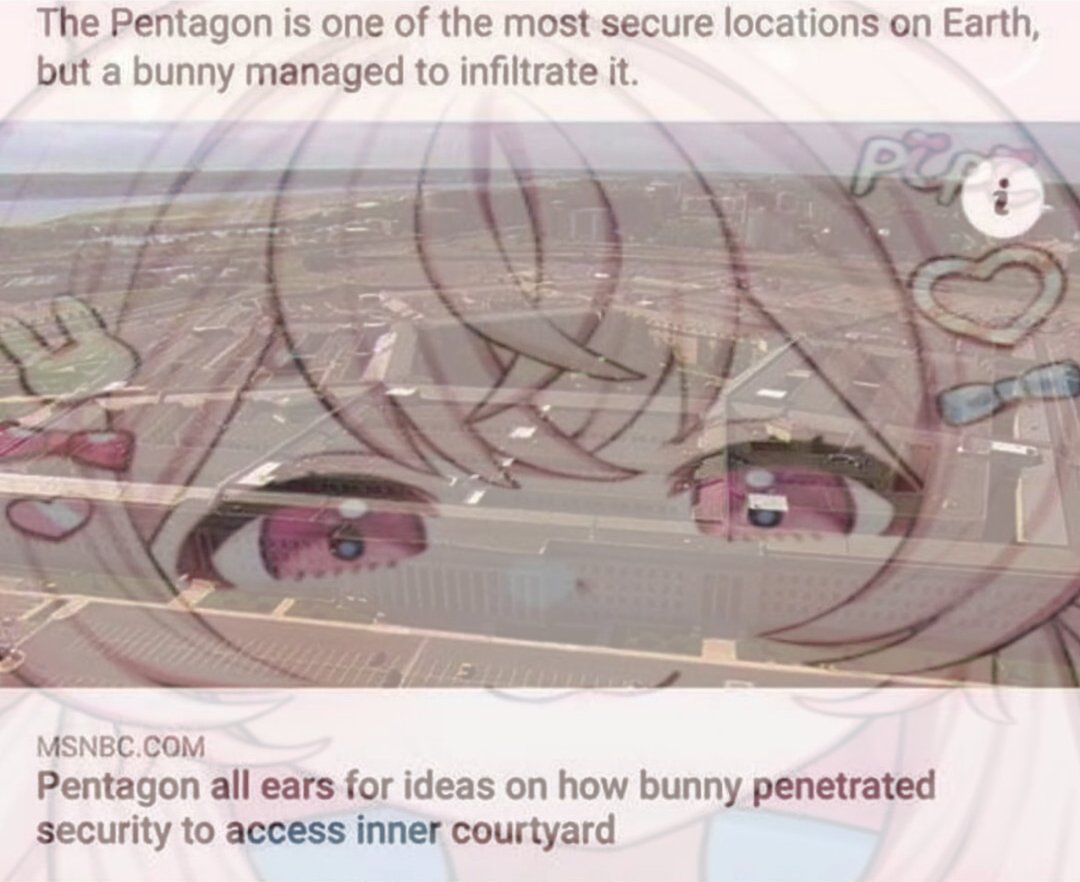 The Pentagon is one of the most secure locations on Earth, but a bunny managed to infiltrate it. MSNBC.COM Pentagon all ears for ideas on how bunny penetrated security to access inner courtyard