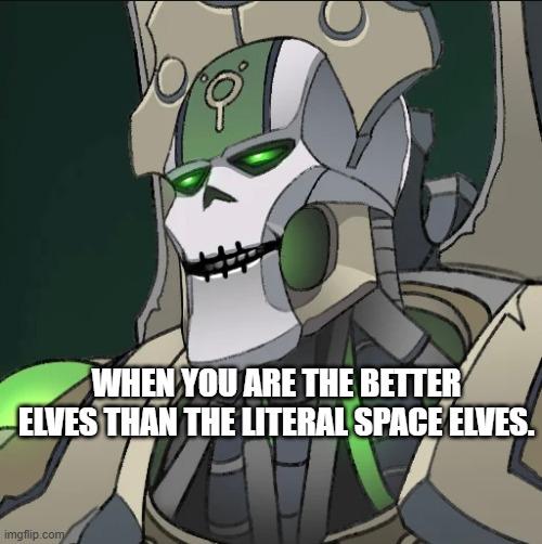 WHEN YOU ARE THE BETTER ELVES THAN THE LITERAL SPACE ELVES. imgflip.com