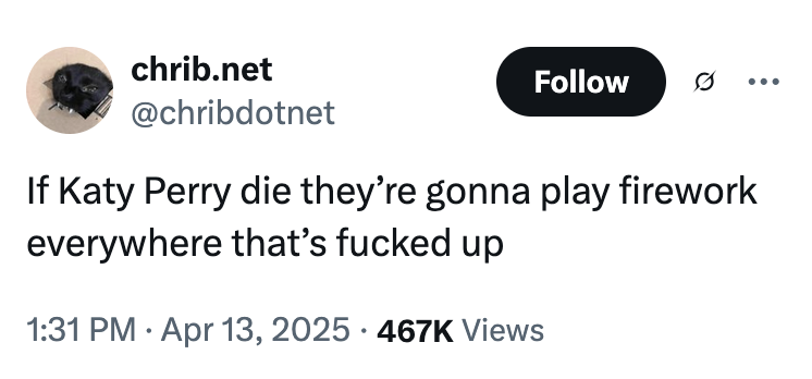 Several internet users posted memes and jokes about Katy Perry going to space, with X user @chribdotnet writing, "If Katy Perry die they’re gonna play firework everywhere that’s f----- up."