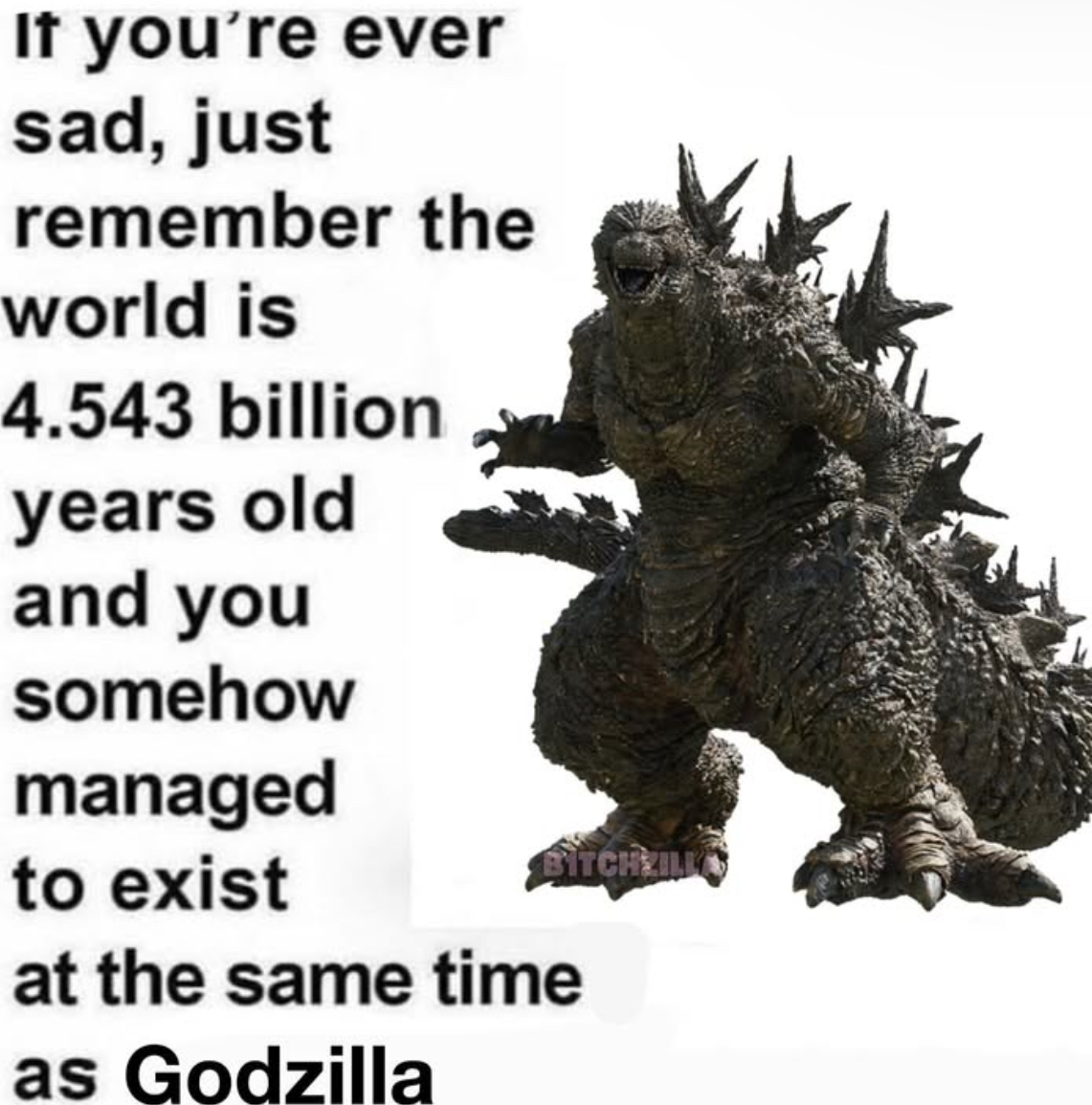 If you're ever sad, just remember the world is 4.543 billion years old and you somehow managed to exist at the same time as Godzilla BITCHZILLO