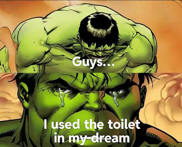 Guys... I used the toilet in my dream