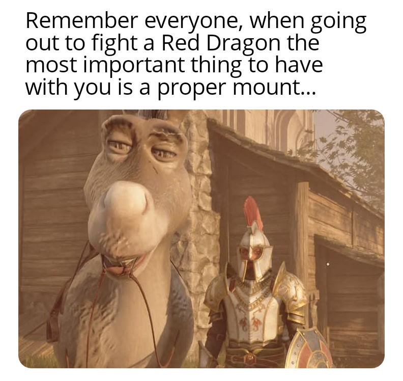 Remember everyone, when going out to fight a Red Dragon the most important thing to have with you is a proper mount...
