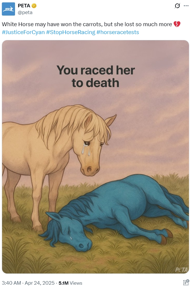 PETA ✔ PETA @peta Q ... White Horse may have won the carrots, but she lost so much more >> #JusticeForCyan #StopHorse Racing #horseracetests You raced her to death PETA 3:40 AM - Apr 24, 2025 -5.1M Views