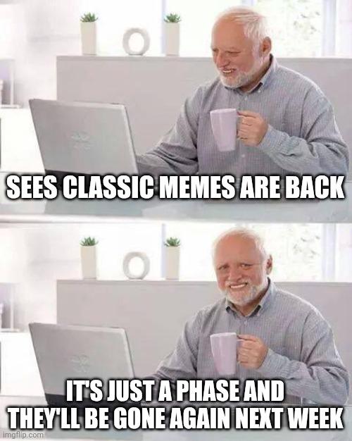SEES CLASSIC MEMES ARE BACK 101 IT'S JUST A PHASE AND THEY'LL BE GONE AGAIN NEXT WEEK imgflip.com