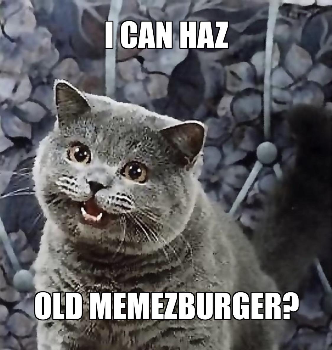 I CAN HAZ OLD MEMEZBURGER?