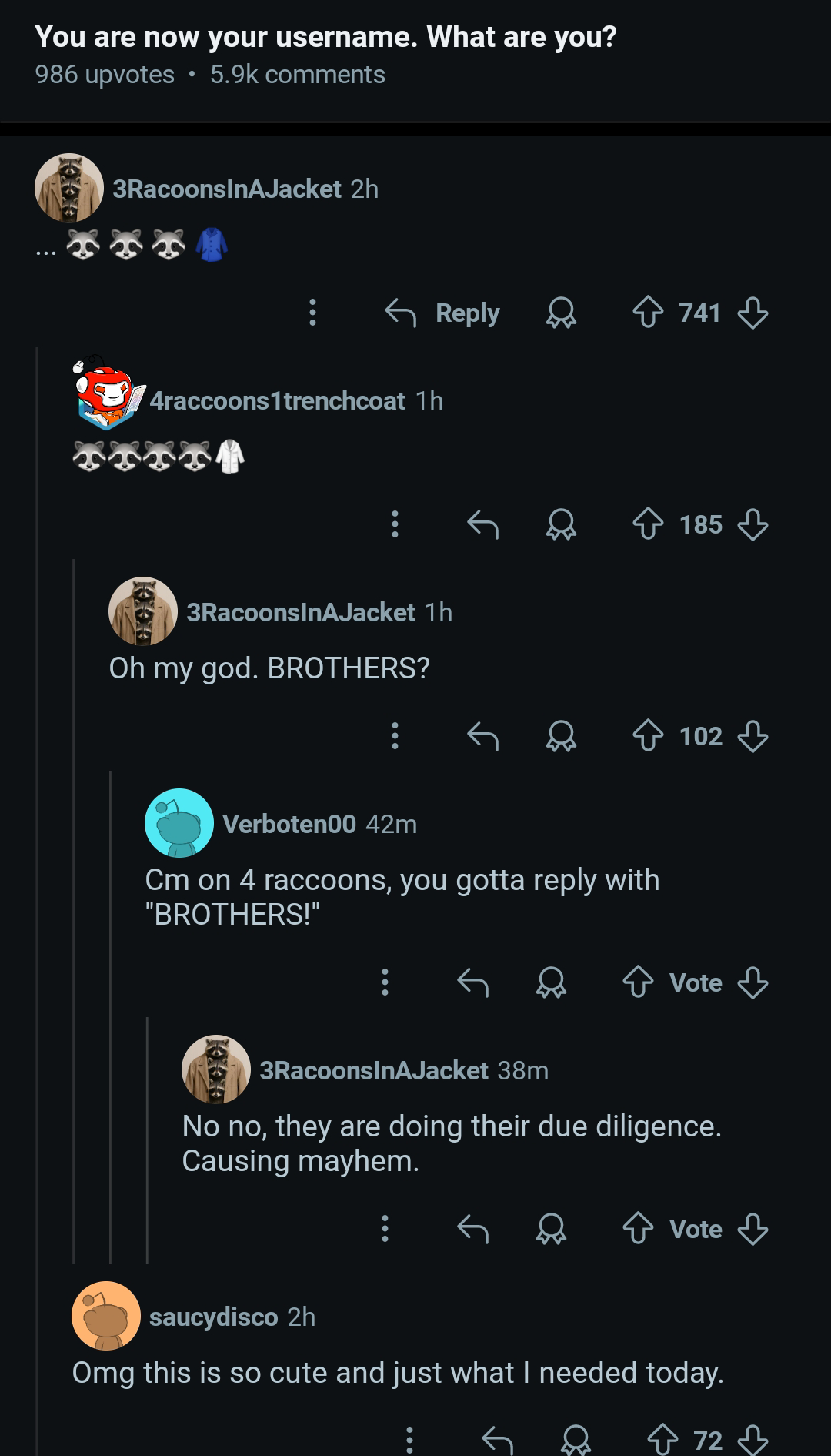 You are now your username. What are you? 986 upvotes ⚫5.9k comments 3RacoonsInAJacket 2h ← Reply +741 4raccoons 1trenchcoat 1h 3RacoonsInAJacket 1h Oh my god. BROTHERS? 8 Verboten00 42m Cm on 4 raccoons, you gotta reply with "BROTHERS!" 185 102 Vote 3RacoonsInAJacket 38m No no, they are doing their due diligence. Causing mayhem. saucydisco 2h Vote Omg this is so cute and just what I needed today. Ŵ 72