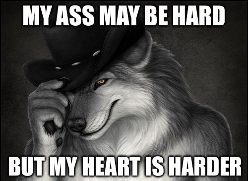 MY ASS MAY BE HARD BUT MY HEART IS HARDER