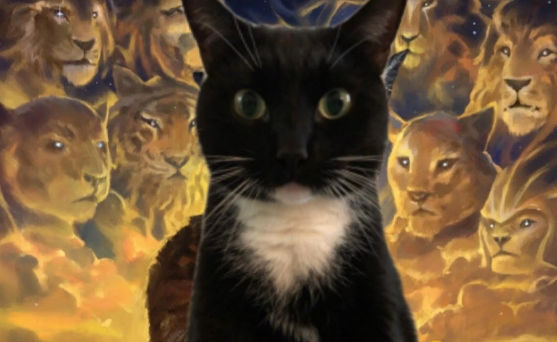 cat ancestors meme 3