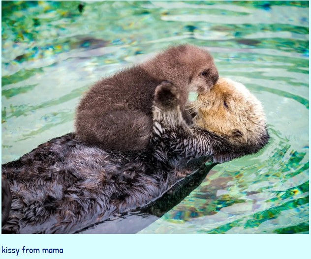 A mamaposting meme by sliceofdyke. The post is captioned, "kissy from mama."