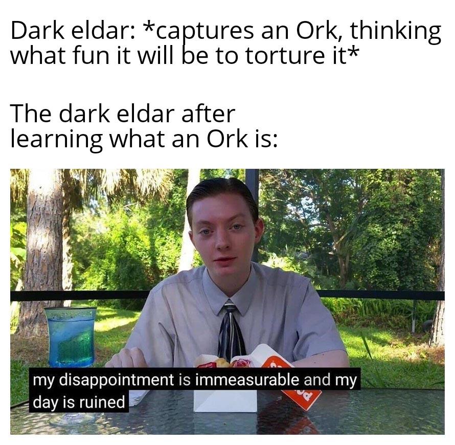 Dark eldar: *captures an Ork, thinking what fun it will be to torture it* The dark eldar after learning what an Ork is: my disappointment is immeasurable and my day is ruined