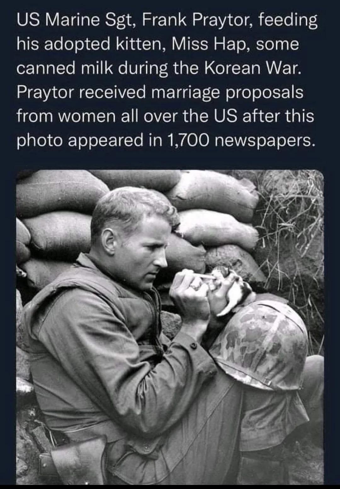 US Marine Sgt, Frank Praytor, feeding his adopted kitten, Miss Hap, some canned milk during the Korean War. Praytor received marriage proposals from women all over the US after this photo appeared in 1,700 newspapers.