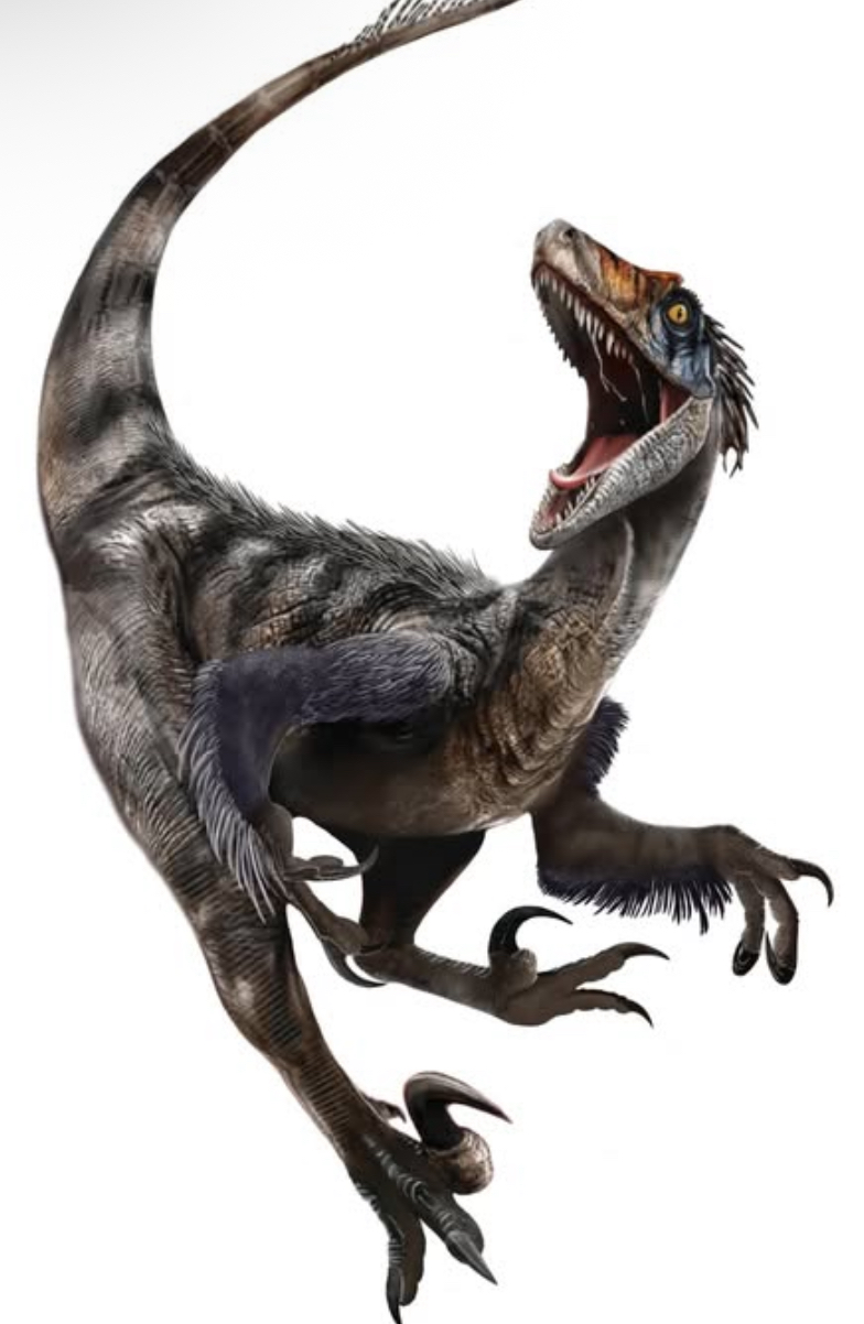 Jurassic world rebirth raptor edit