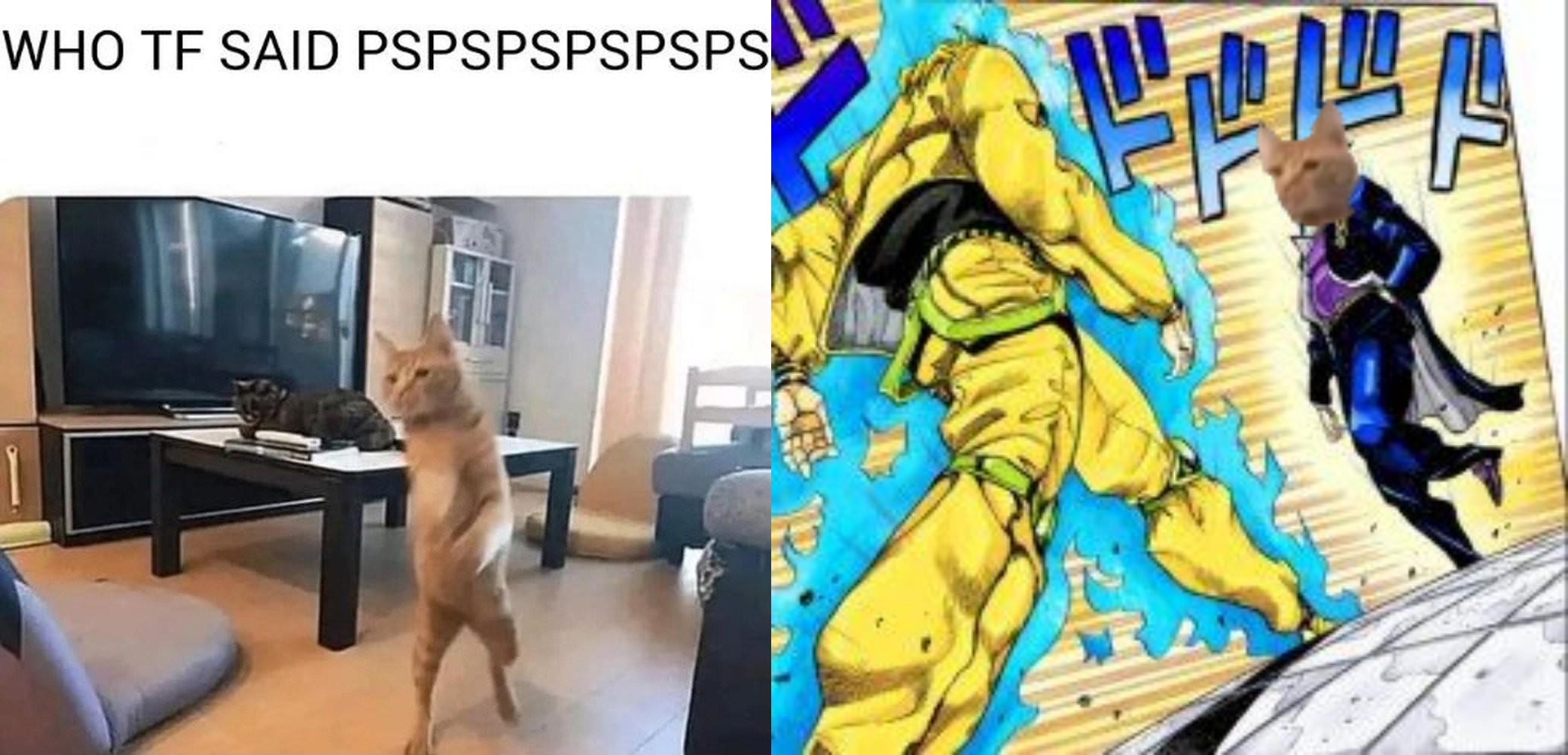 WHO TF SAID PSPSPSPSPSPS