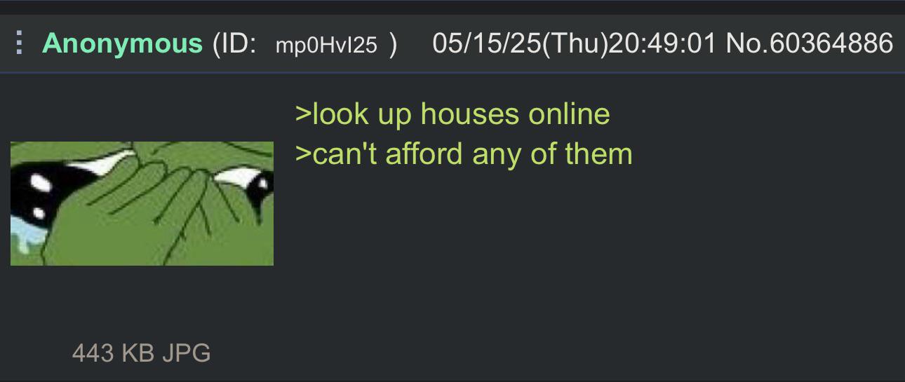 ⠀ Anonymous (ID: mp0Hvl25) 05/15/25(Thu)20:49:01 No.60364886 >look up houses online >can't afford any of them 443 KB JPG