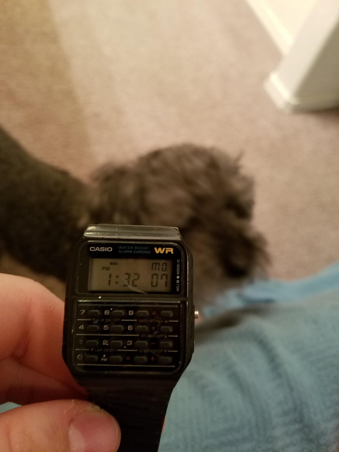 CASIO WATER RESIST PM ALARM CHRONO R MO 1:32 07 LM ON OFF DATE/ST-Hour 4 6 SIG AN OPP11 Y LAP-RESET START STORY PM ADJ MODE/C