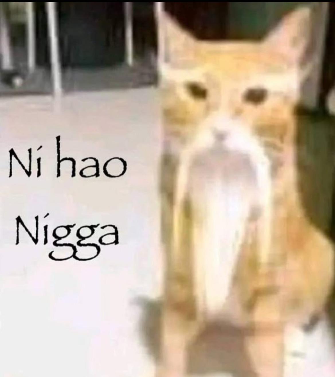 Ni hao N----