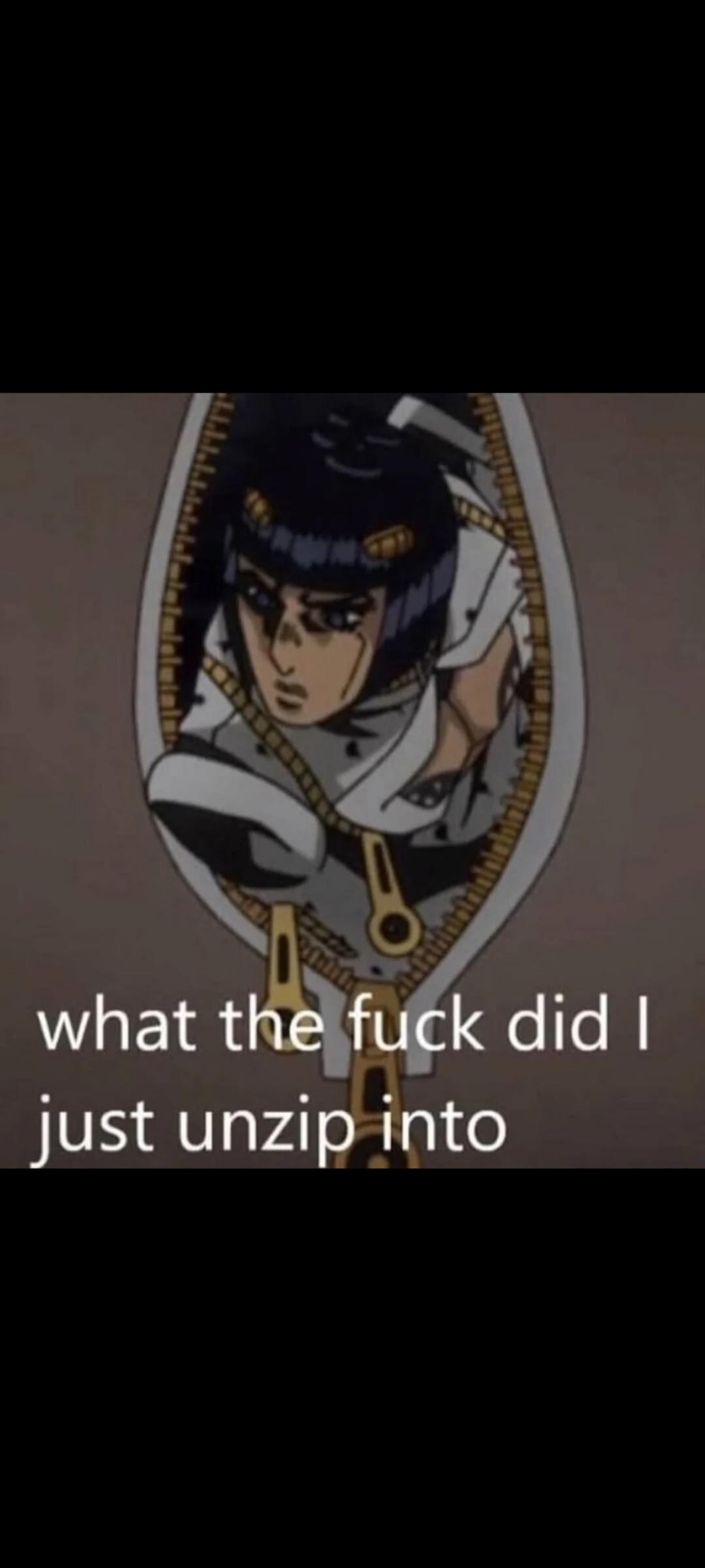 what the f--- did I just unzip into