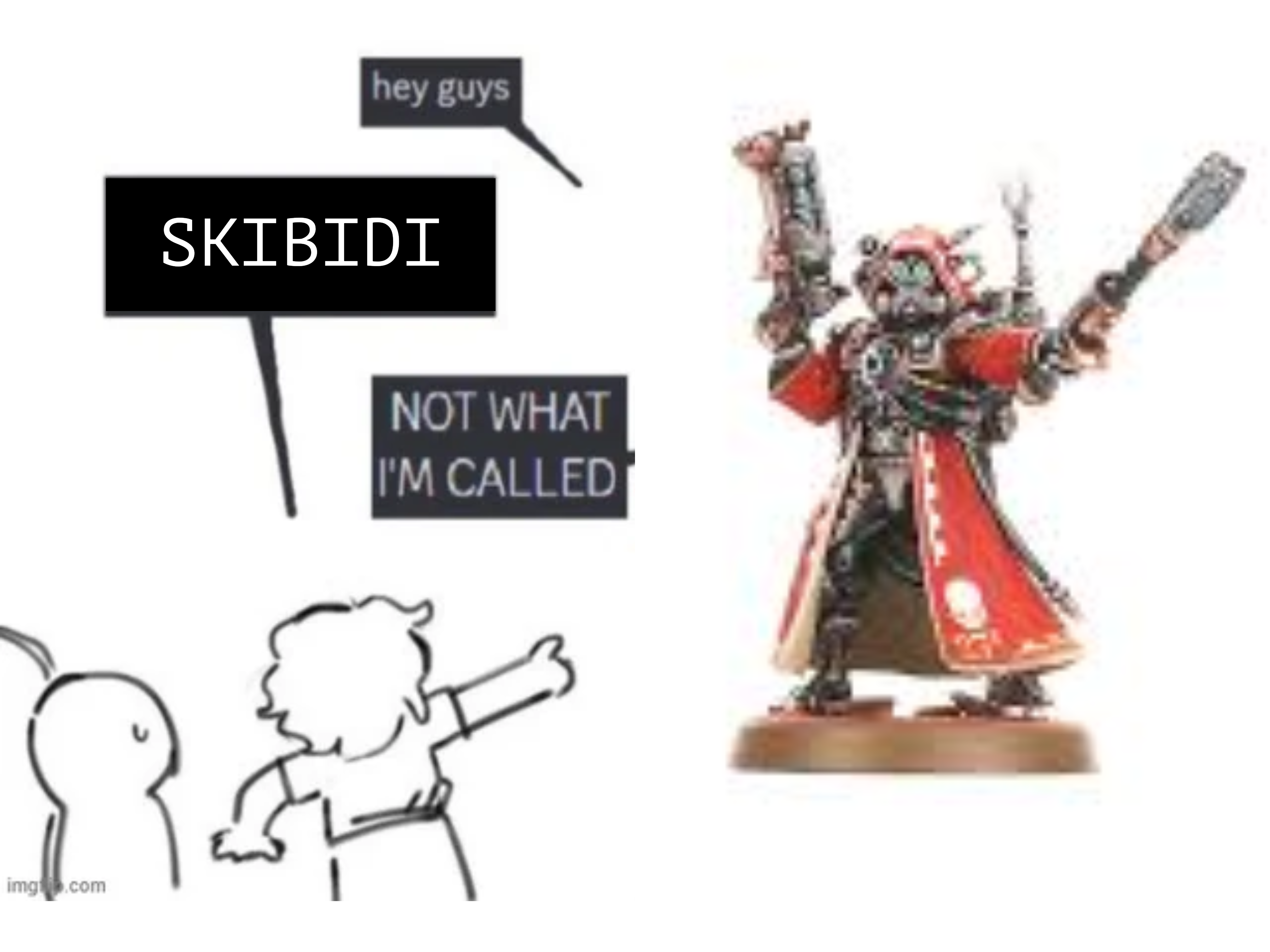 img.com hey guys SKIBIDI NOT WHAT I'M CALLED