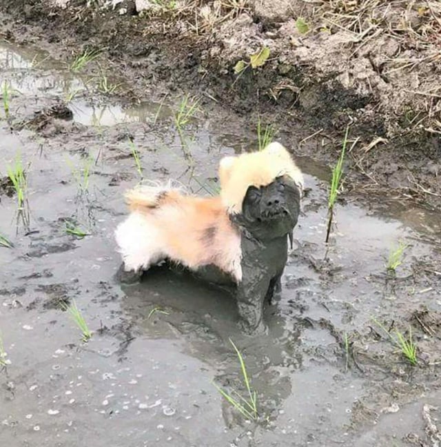 The Face Of Instant Regret