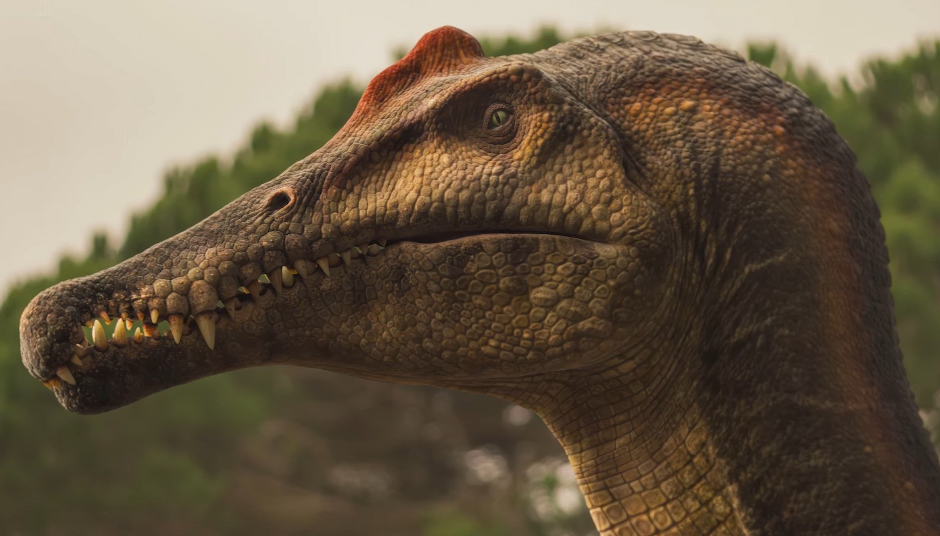 Spinosaurus Image Gallery Know Your Meme