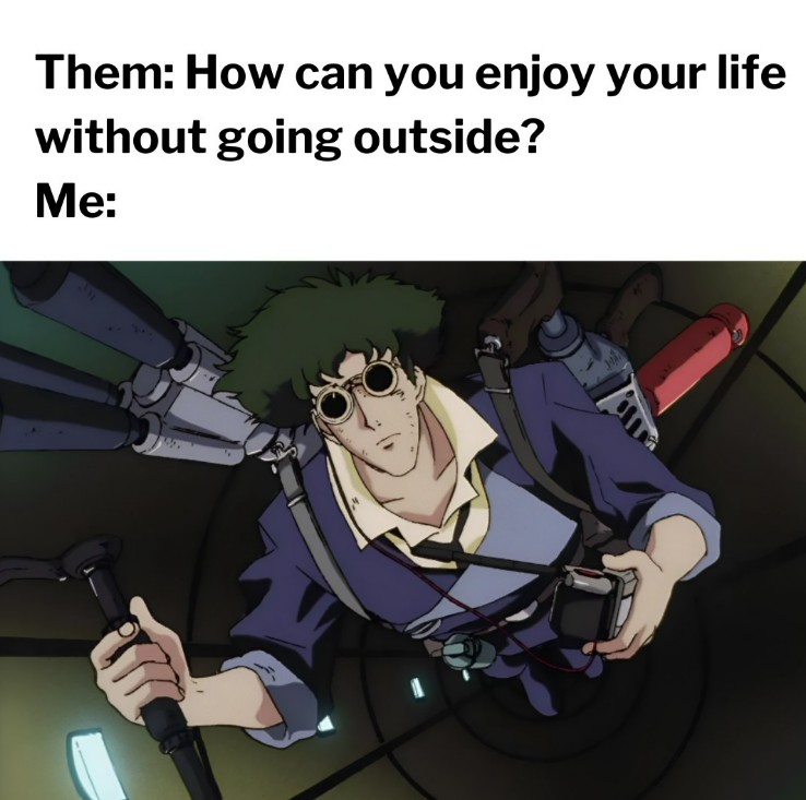 Them: How can you enjoy your life without going outside? Me: