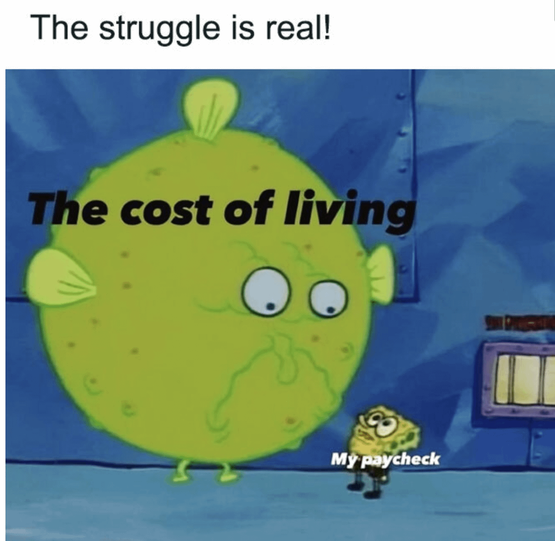 The struggle is real! The cost of living My paycheck