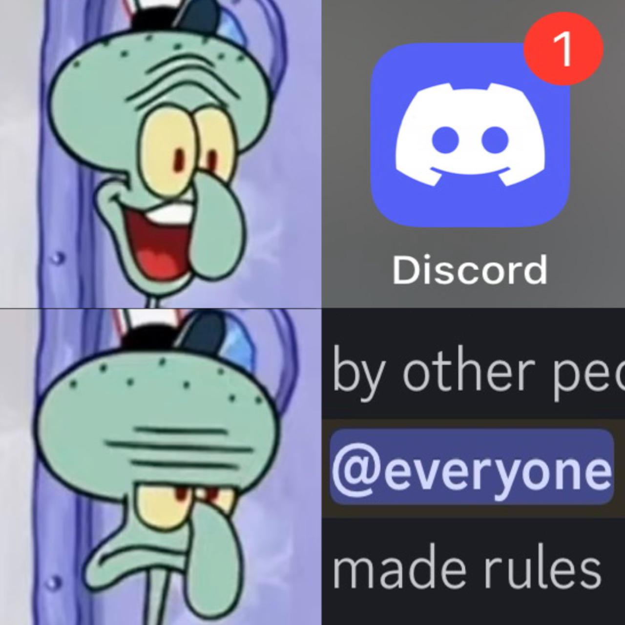 1 8 Discord by other pe @everyone made rules