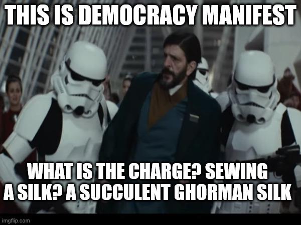 THIS IS DEMOCRACY MANIFEST WHAT IS THE CHARGE? SEWING A SILK? A SUCCULENT GHORMAN SILK imgflip.com