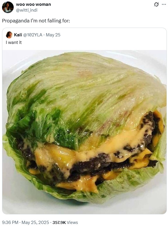 A version of the "propaganda I'm not falling for" meme. The post calls using lettuce as a substitute for a hamburger bun propaganda.
