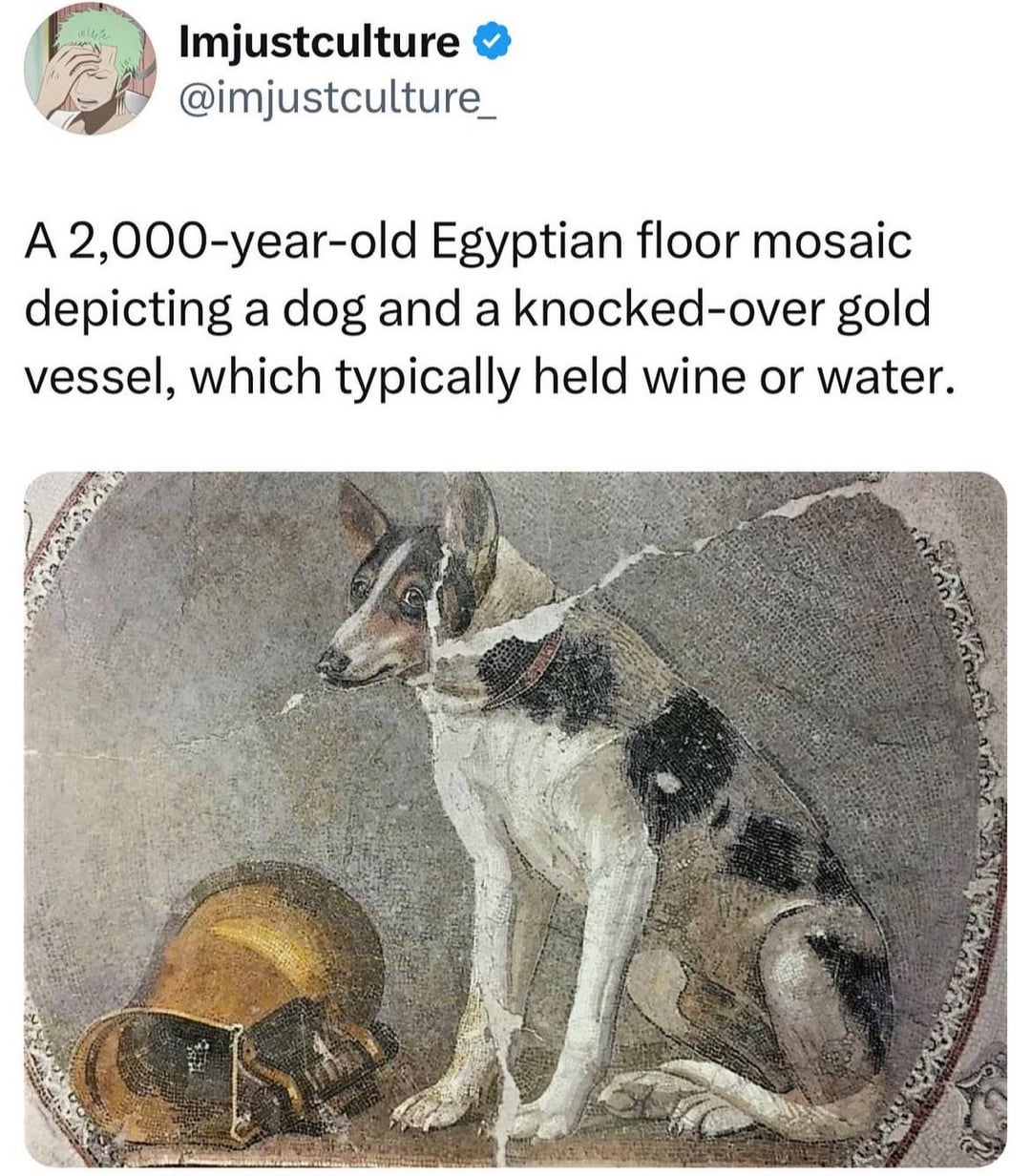 114 Imjustculture @imjustculture_ A 2,000-year-old Egyptian floor mosaic depicting a dog and a knocked-over gold. vessel, which typically held wine or water.