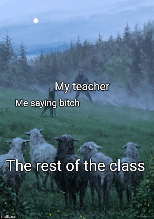 A version of the dog vs. werewolf meme. The meme is about defending the class from the teacher by cursing at her.