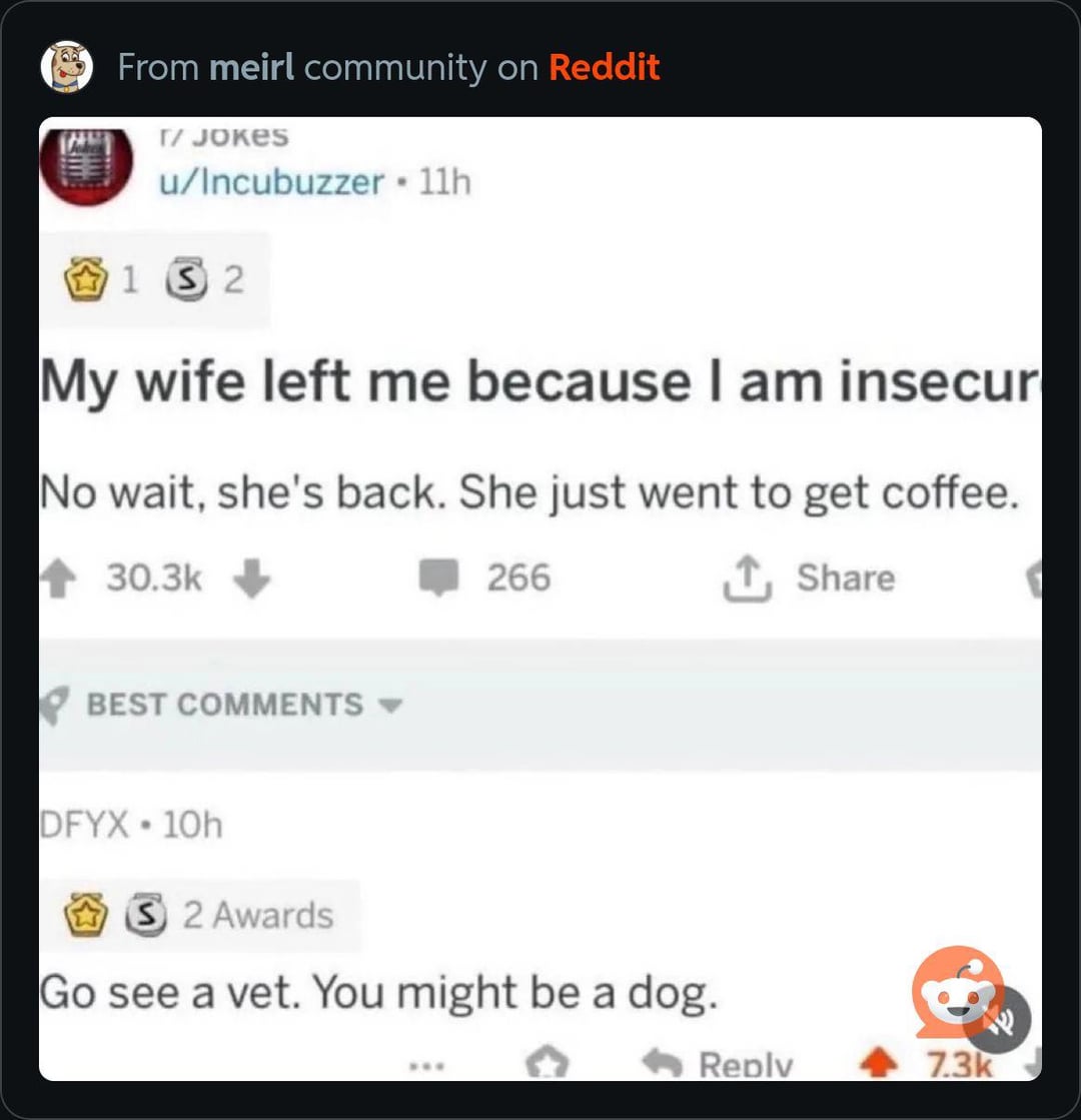From meirl community on Reddit г/ JOKES u/Incubuzzer ⚫ 11h 1 2 My wife left me because I am insecur No wait, she's back. She just went to get coffee. 30.3k BEST COMMENTS 266 DFYX 10h 2 Awards Go see a vet. You might be a dog. ↑ Share Reply 7.3k