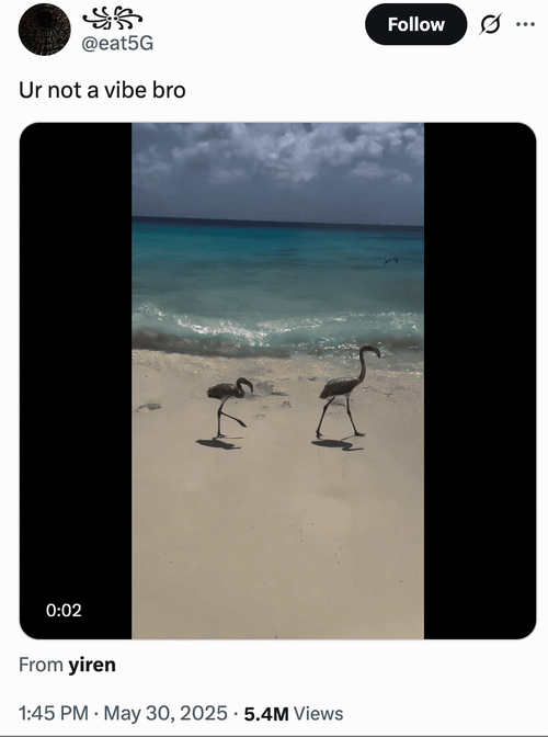 Twitter / X user @eat5G posted the video of a pair of birds walking along the shoreline on a beach before getting knocked over by the incoming tide. The video was captioned, "Ur not a vibe bro," gathering over 81,000 likes in three days. 
