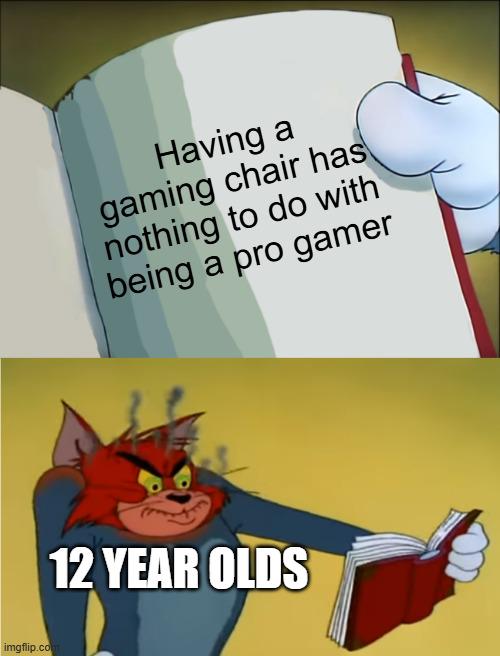 imgflip.com Having a gaming chair has nothing to do with being a pro gamer 12 YEAR OLDS