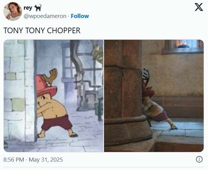 rey @wpoedameron. Follow TONY TONY CHOPPER X 8:56 PM. May 31, 2025