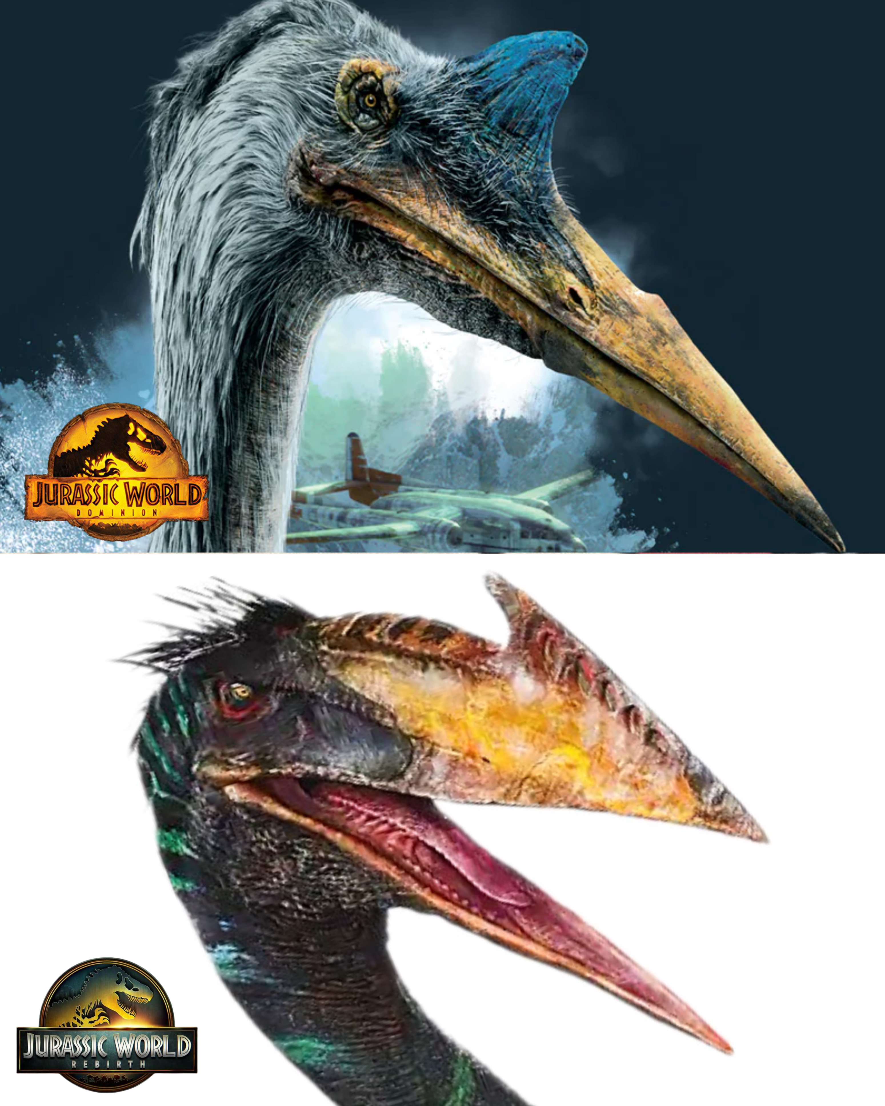JURASSIC WORLD DOMINION wwwww JURASSIC WORLD REBIRTH