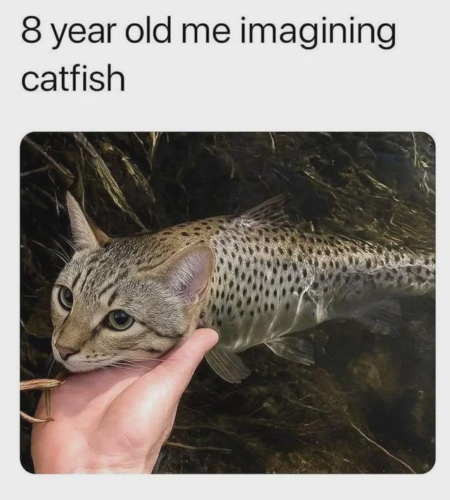 A Real Catfish Know Your Meme a-real-catfish-know-your-meme