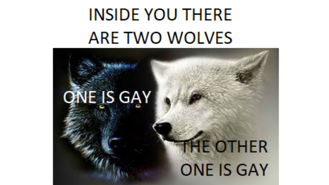 INSIDE YOU THERE ARE TWO WOLVES ONE IS GAY THE OTHER ONE IS GAY