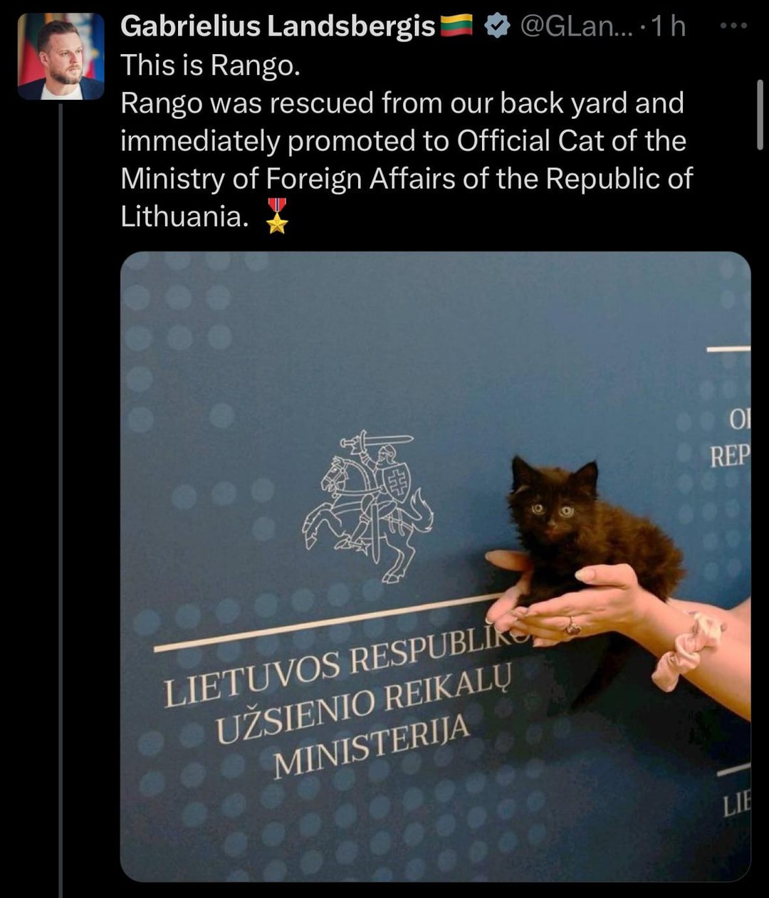 Gabrielius Landsbergis This is Rango. @GLan....1h 600 Rango was rescued from our back yard and immediately promoted to Official Cat of the Ministry of Foreign Affairs of the Republic of Lithuania. LIETUVOS RESPUBLIK UŽSIENIO REIKALŲ MINISTERIJA LIE 이 REP
