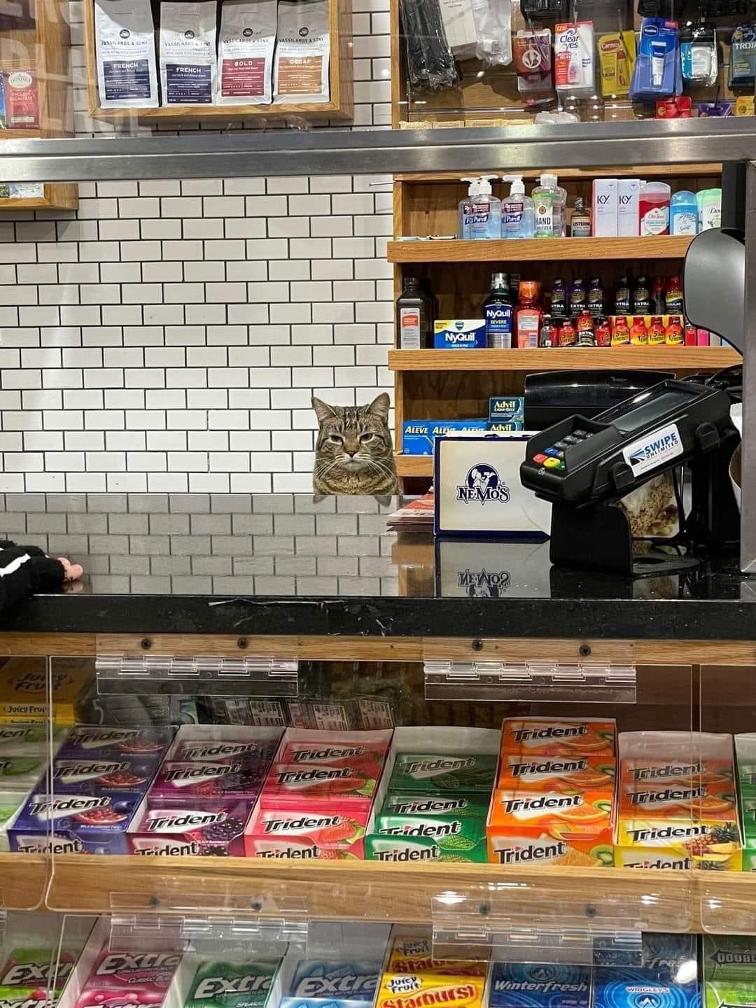 Fru Joicy Frui VISTICARDONE VASSILANDS & SONS Clear VASSLANDS & SONS VASSILANIE FRENCH- BOLD FRENCH taxt KY KY Do Land HAND NyQuil NyQuil STRA LEVERE Advil ALEVE ALEE Arai Advil NEMOS ΜΕΛΟΣ SWIPE ent riden Fident Trident Trident Trident Trident Trident Trident Trident Trident Trident Trident ident Trident ident Trident Trident Triden ident Trident Trident Trident Trident EXT Extle Fruit Sta Extr Extre Starburs Winterfresh WRIGLEY DOUBL TRO