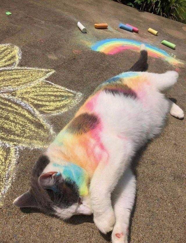 An artist