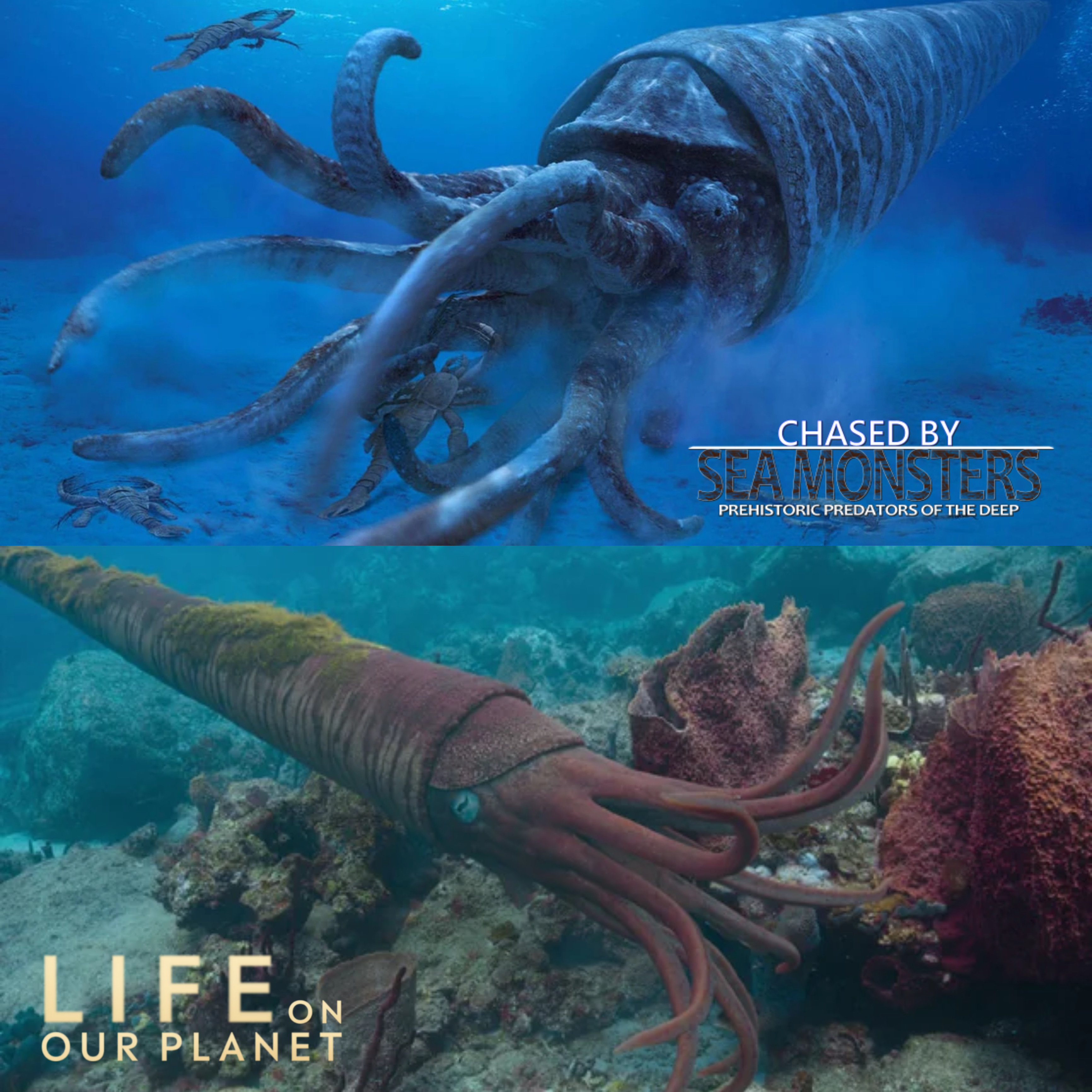 LIFE ON ΟΝ OUR PLANET CHASED BY SEA MONSTERS PREHISTORIC PREDATORS OF THE DEEP