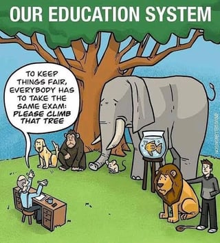 OUR EDUCATION SYSTEM TO KEEP THINGS FAIR, EVERYBODY HAS TO TAKE THE SAME EXAM: PLEASE CLIMB THAT TREE ONG SELLER UNSON