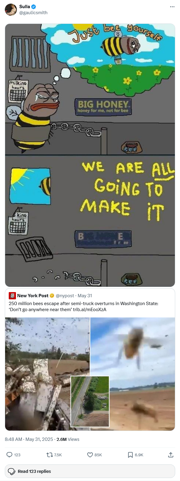 Sulla @gaulicsmith Just bee yourself milking hours BIG HONEY honey for me, not for bee R Kino hours Bee WE ARE ALL GOING TO MAKE IT free Ree New York Post @nypost May 31 250 million bees escape after semi-truck overturns in Washington State: 'Don't go anywhere near them' trib.al/mEooXzA 8:48 AM - May 31, 2025 - 2.6M Views 123 17.5K Read 123 replies 85K 6.9K ↑