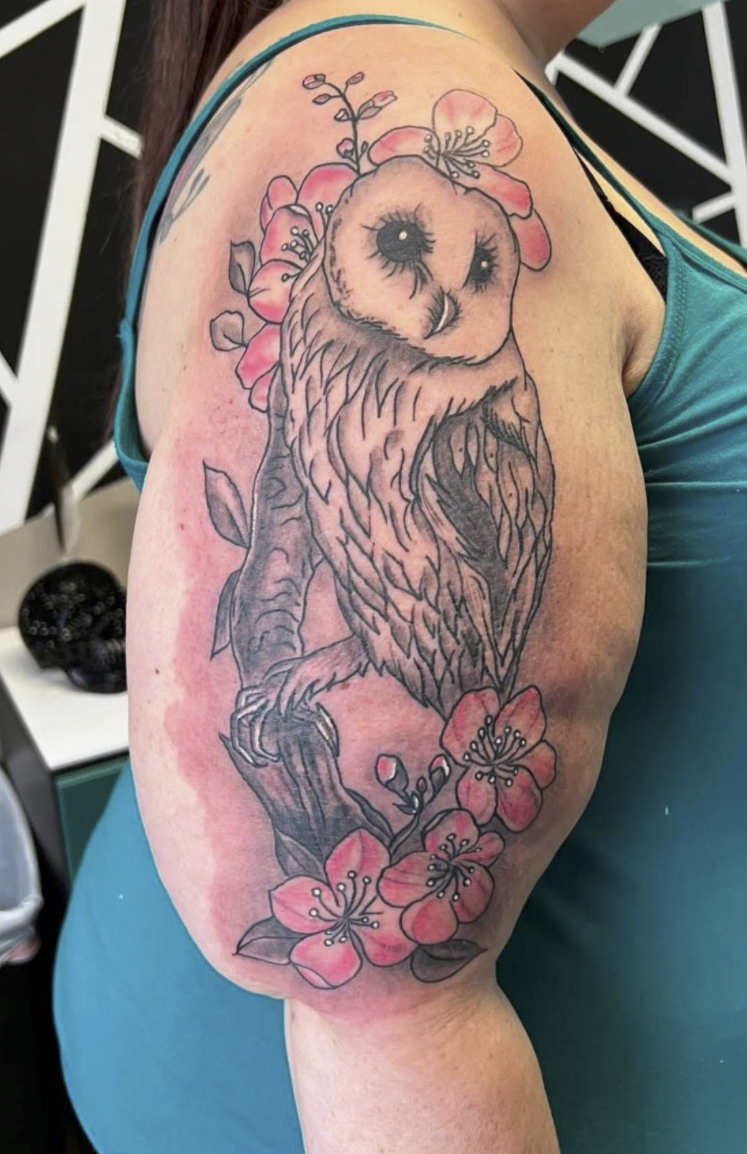 This owl