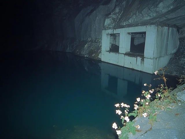 Something Really Wants You To Swim Here