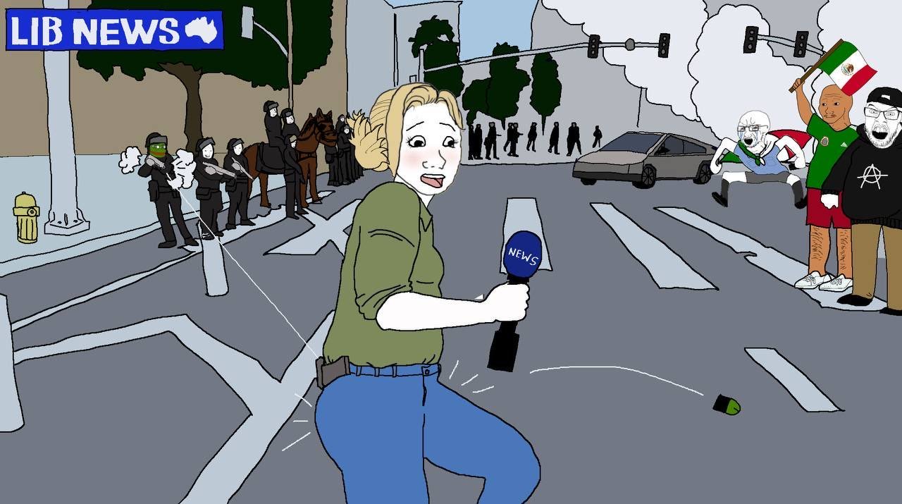 Found at https://x.com/Aristos_Revenge/status/1932494204896219537

It's a reference to footage where LA Riot police shot an Austrian journalist with a foam baton:
<iframe width="560" height="315" src="https://www.youtube.com/embed/t42UBBolOvo?si=5rxSx6F-zDcsZexc" title="YouTube video player" frameborder="0" allow="accelerometer; autoplay; clipboard-write; encrypted-media; gyroscope; picture-in-picture; web-share" referrerpolicy="strict-origin-when-cross-origin" allowfullscreen></iframe>