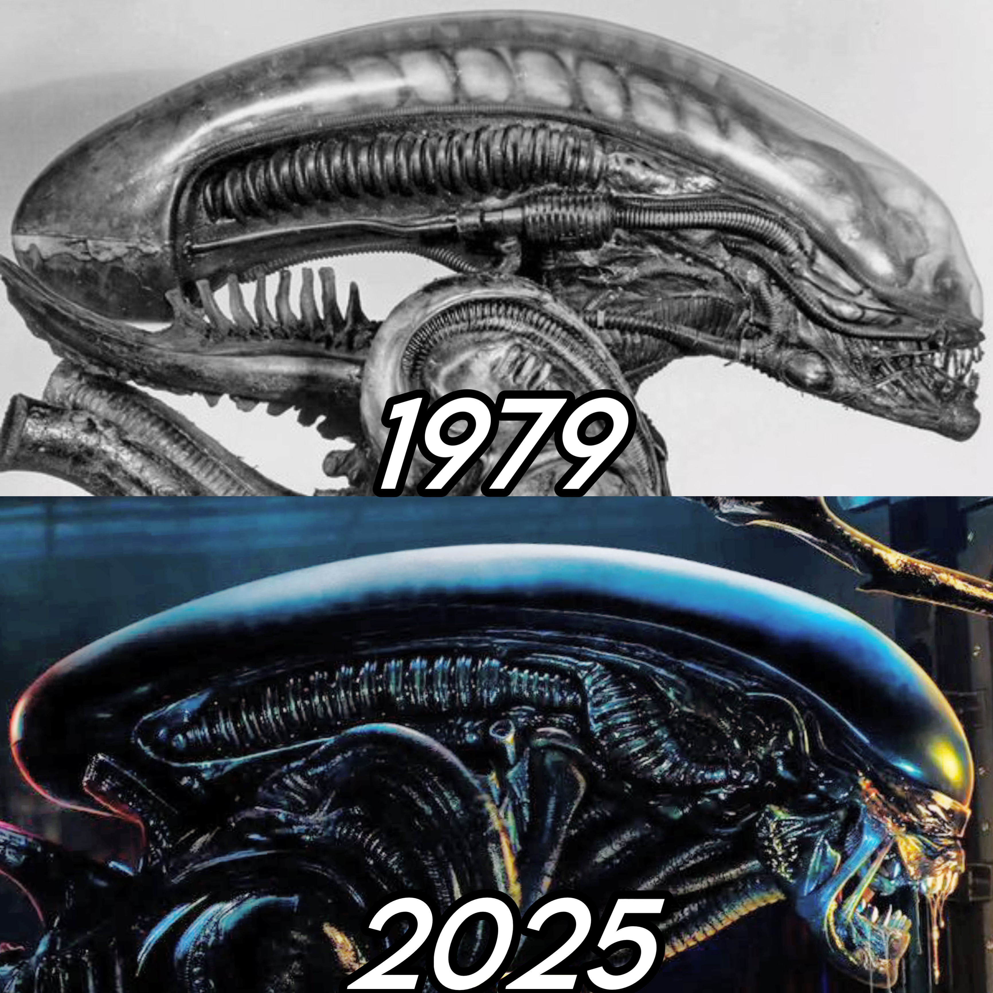 1979 2025